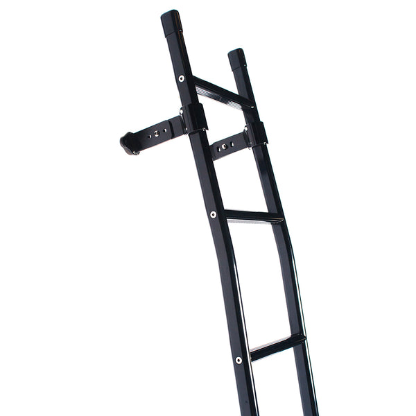 Sprinter rear door ladder black