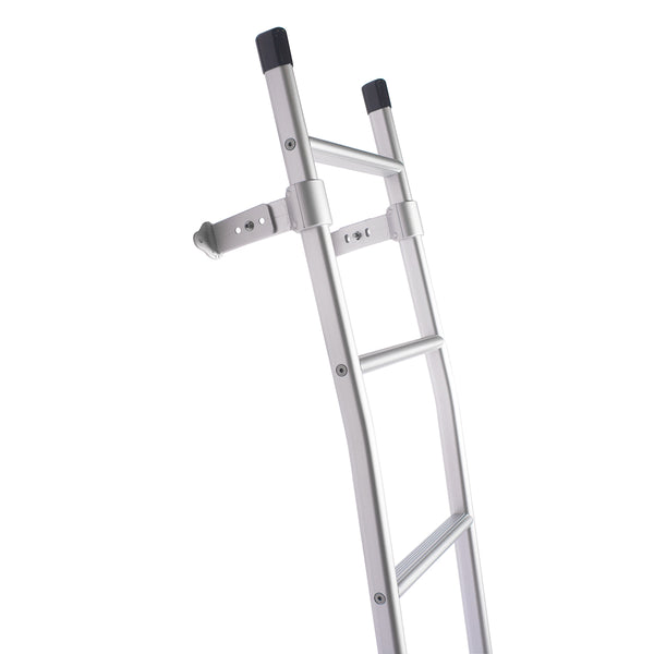 Sprinter rear door ladder silver